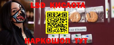 крисы Будённовск