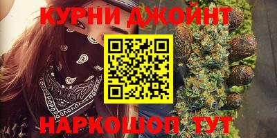 крисы Будённовск