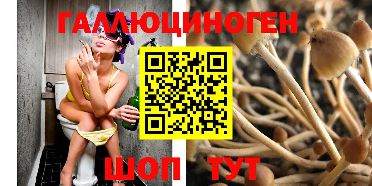 Галлюциногенные грибы мухоморы  сколько стоит  Вход с VPN  Елец  Галлюциногенные грибы мухоморы 