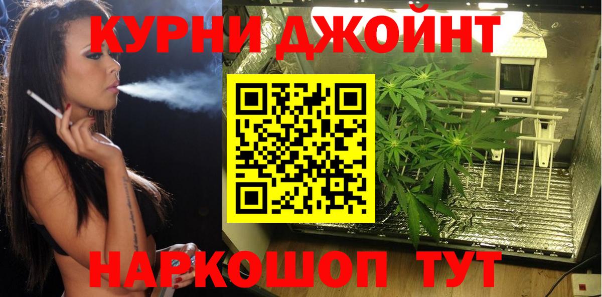 МАРИХУАНА планчик  Вход с VPN  Елец  Шишки марихуана семена 